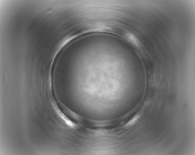 X0000066540940200603201422