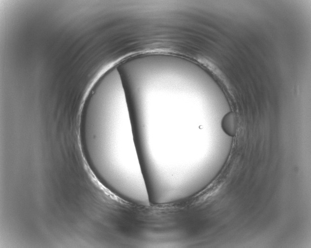 X0000066540941200603201422