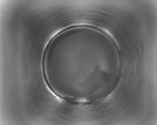 X0000066540943200603201422