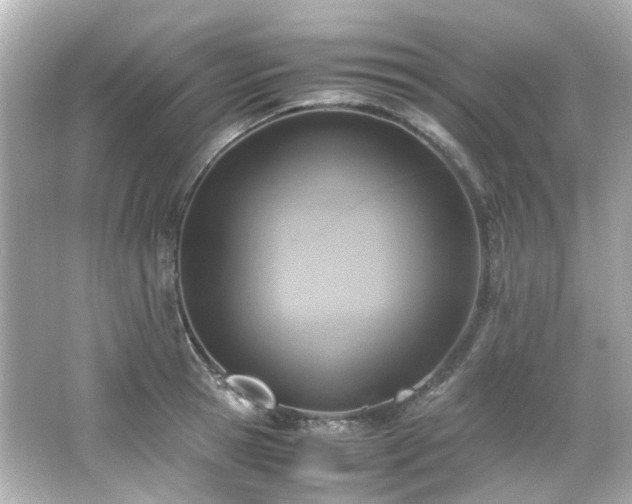 X0000066540945200603201422