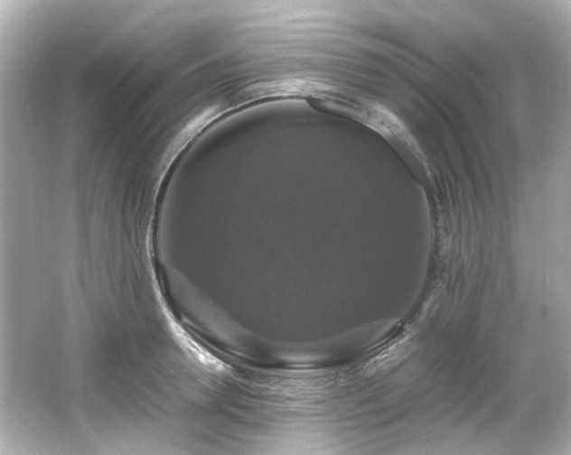 X0000066540946200603201422