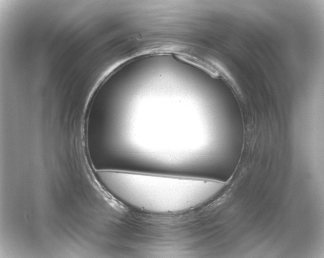 X0000066540948200603201422