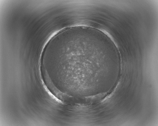 X0000066540949200603201422