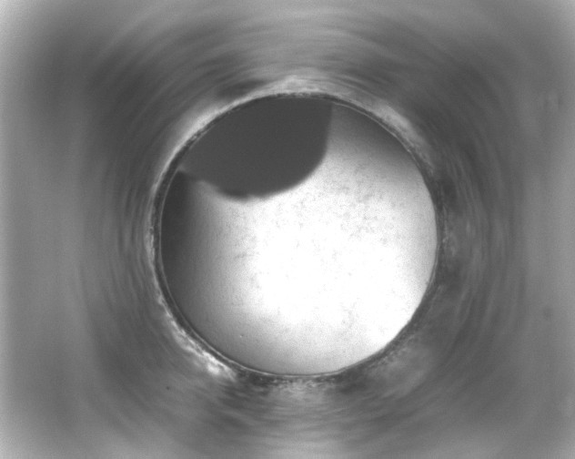 X0000066540950200603201422