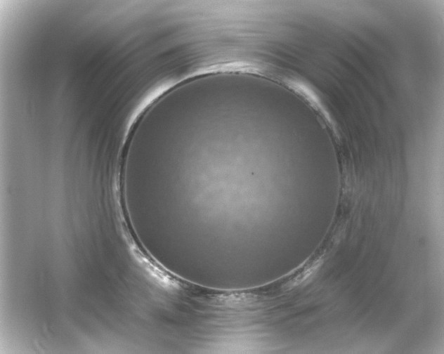 X0000066540952200603201422