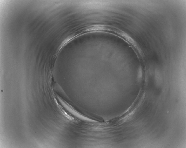 X0000066540953200603201422