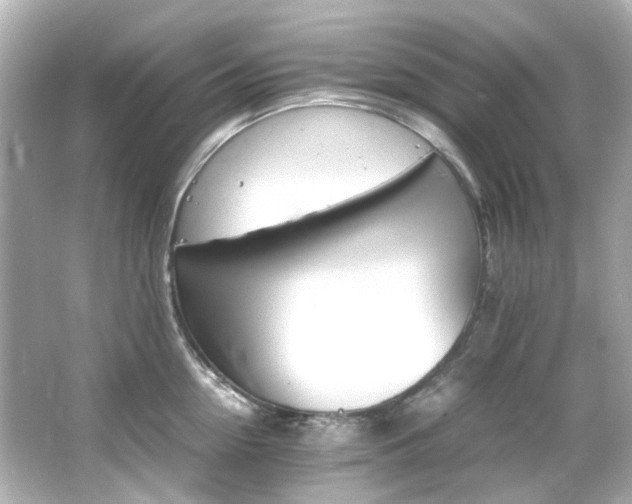 X0000066540954200603201422