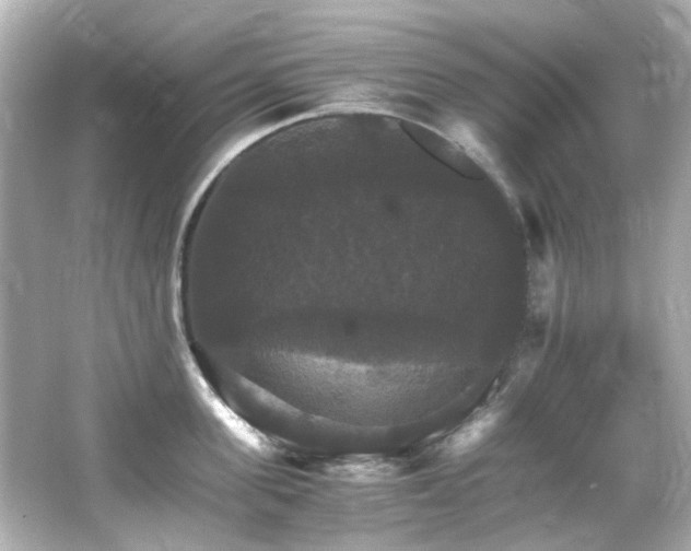 X0000066540955200603201422