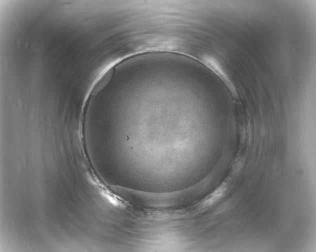 X0000066540956200603201422