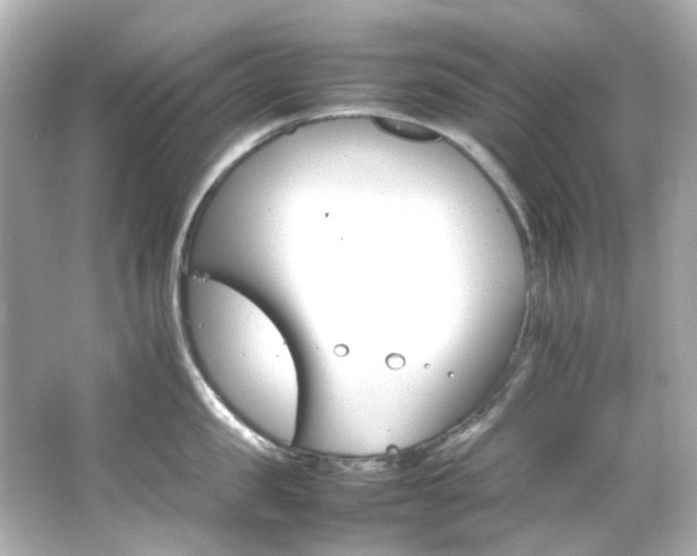 X0000066540957200603201422