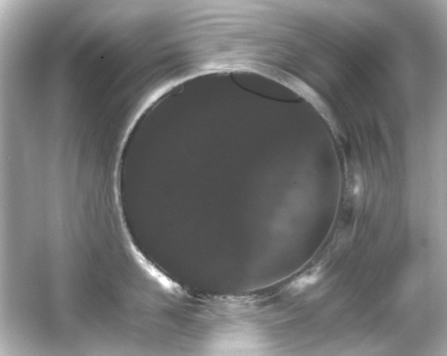 X0000066540958200603201422