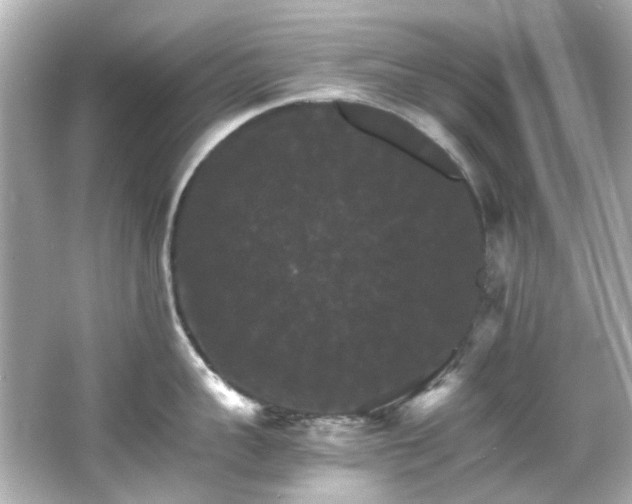 X0000066540959200603201422