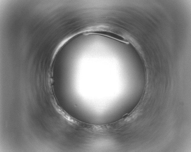 X0000066540960200603201422