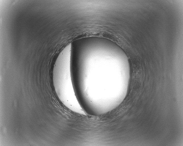 X0000066540961200603201421