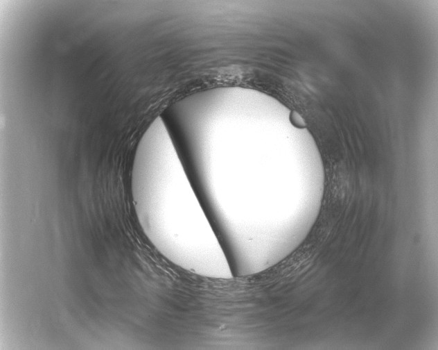 X0000066540962200603201421