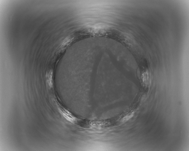 X0000066540963200603201421