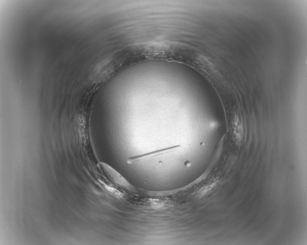 X0000066540964200603201421