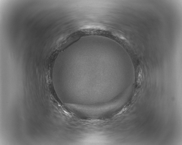 X0000066540965200603201421