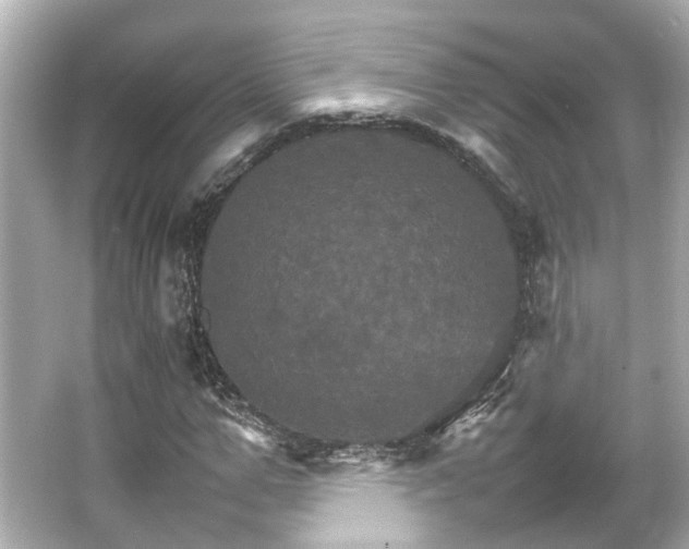 X0000066540967200603201421