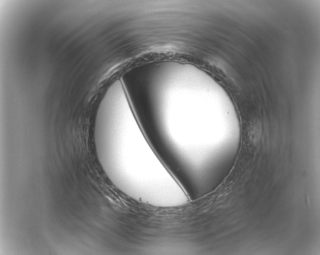 X0000066540968200603201421