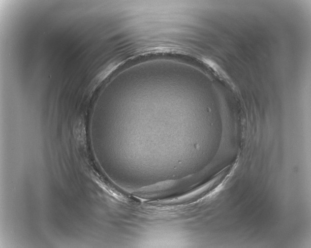 X0000066540969200603201421