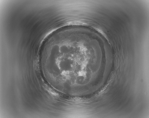 X0000066540971200603201421