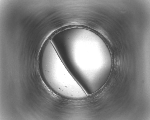 X0000066540972200603201421