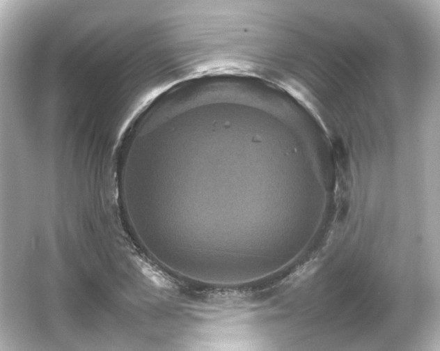 X0000066540973200603201421