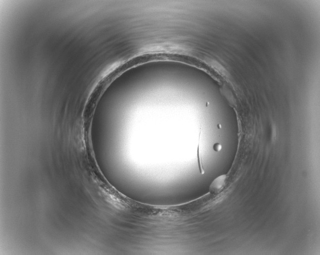 X0000066540974200603201421