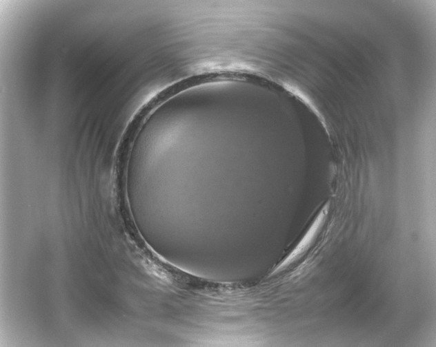 X0000066540975200603201421