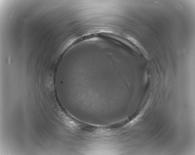 X0000066540977200603201421