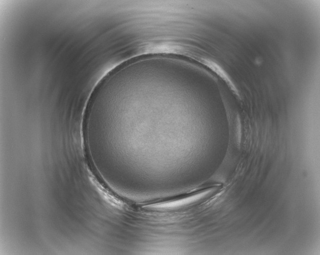 X0000066540980200603201421