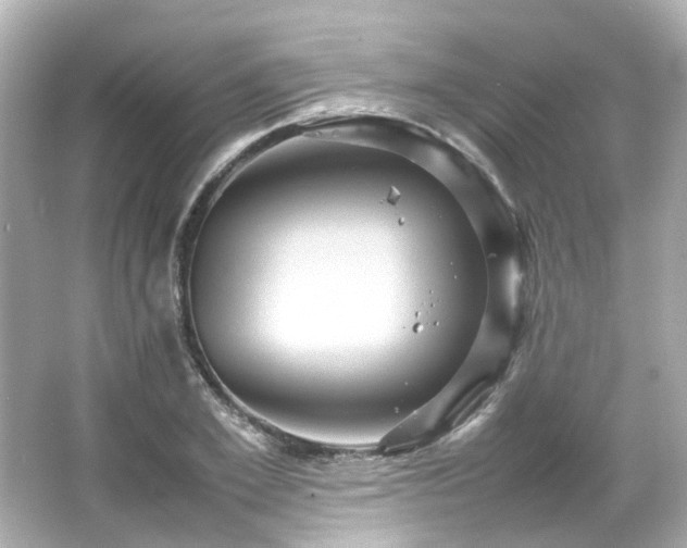 X0000066540981200603201421