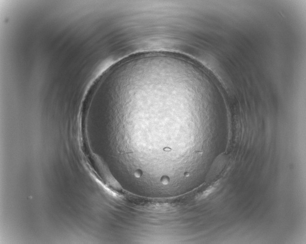 X0000066540982200603201421