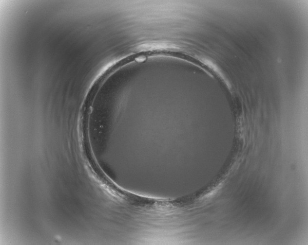 X0000066540983200603201421