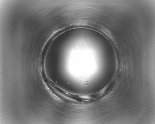 X0000066540984200603201421