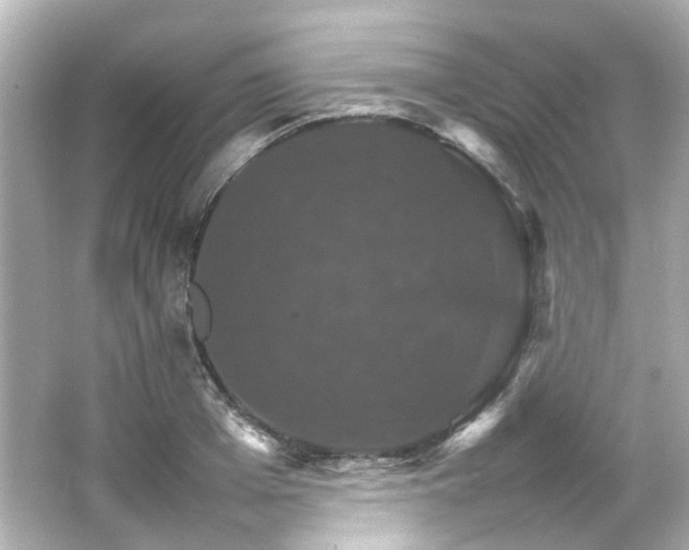 X0000066540985200603201421