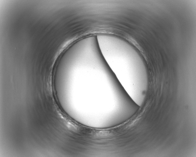 X0000066540986200603201421