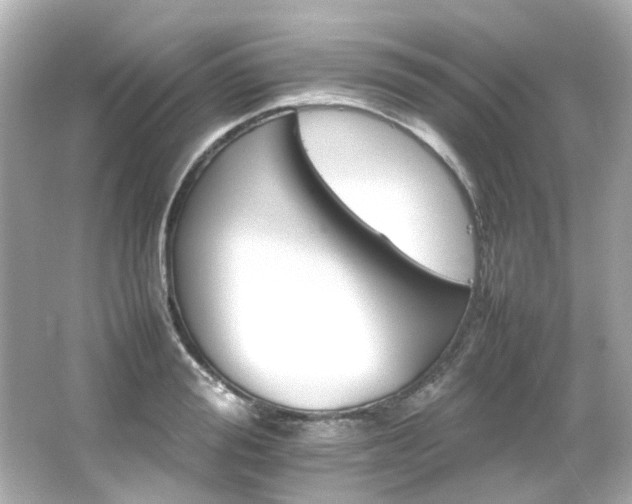 X0000066540988200603201421