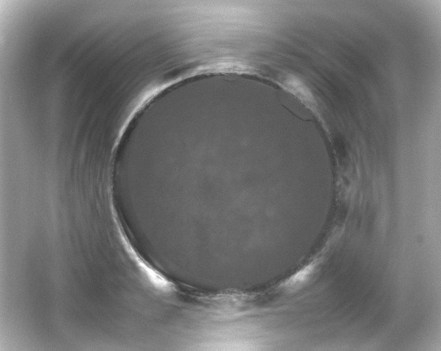 X0000066540989200603201421