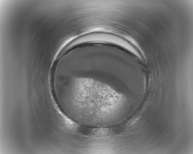 X0000066540991200603201421