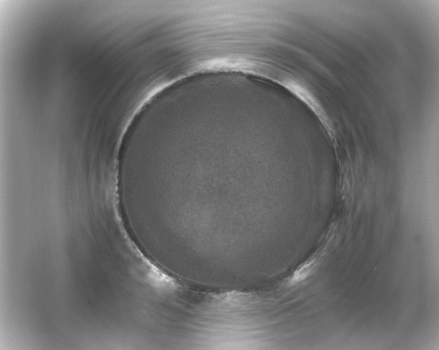 X0000066540992200603201421