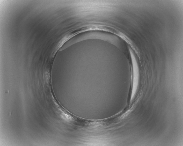 X0000066540993200603201421