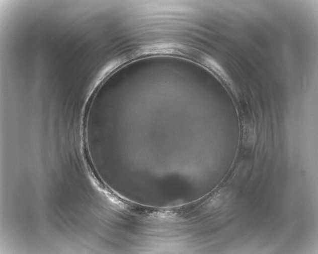 X0000066540994200603201421