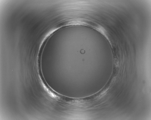 X0000066540995200603201421