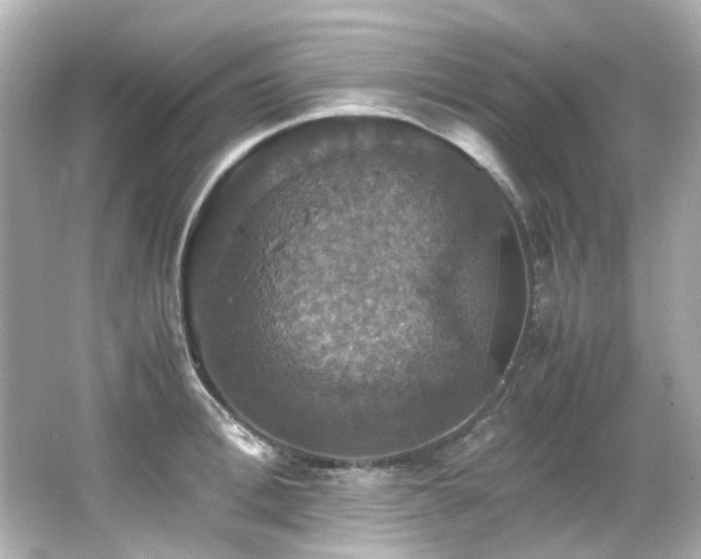 X0000066540996200603201421