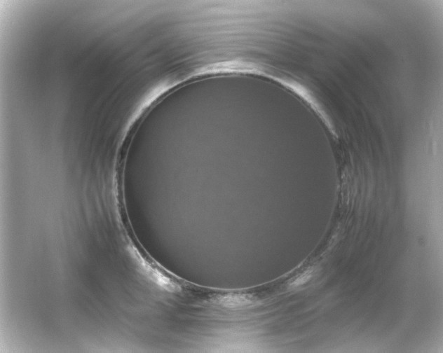 X0000066540998200603201421