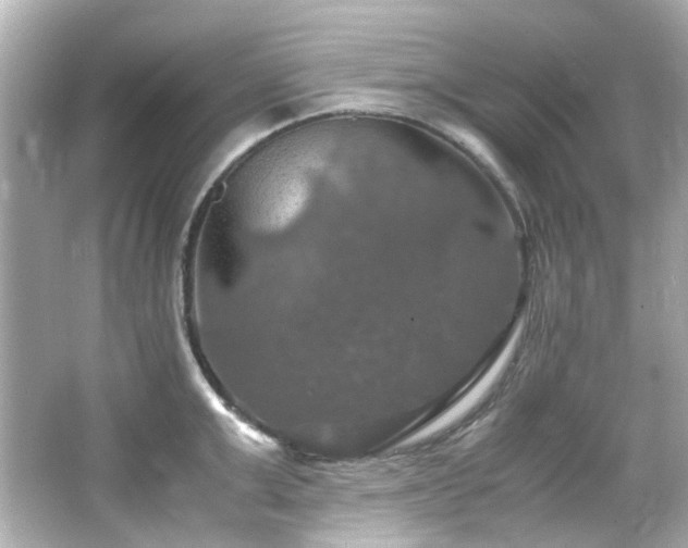 X0000066540999200603201421