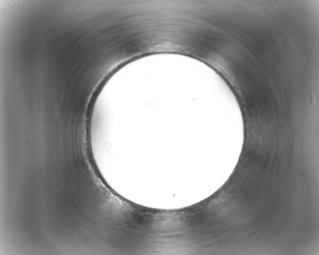 X0000066541000200603201421