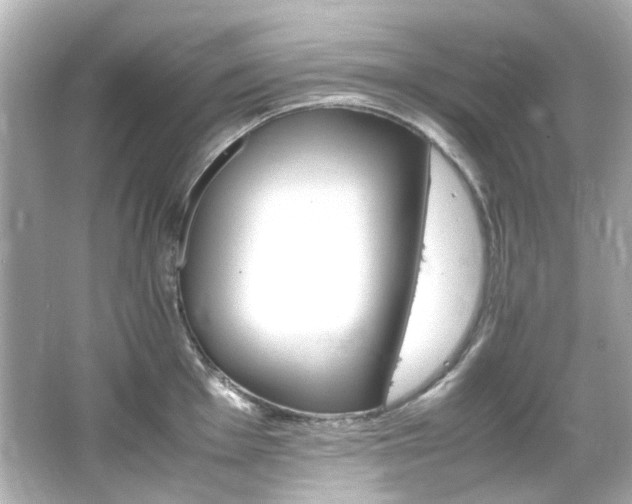 X0000066541001200603201421